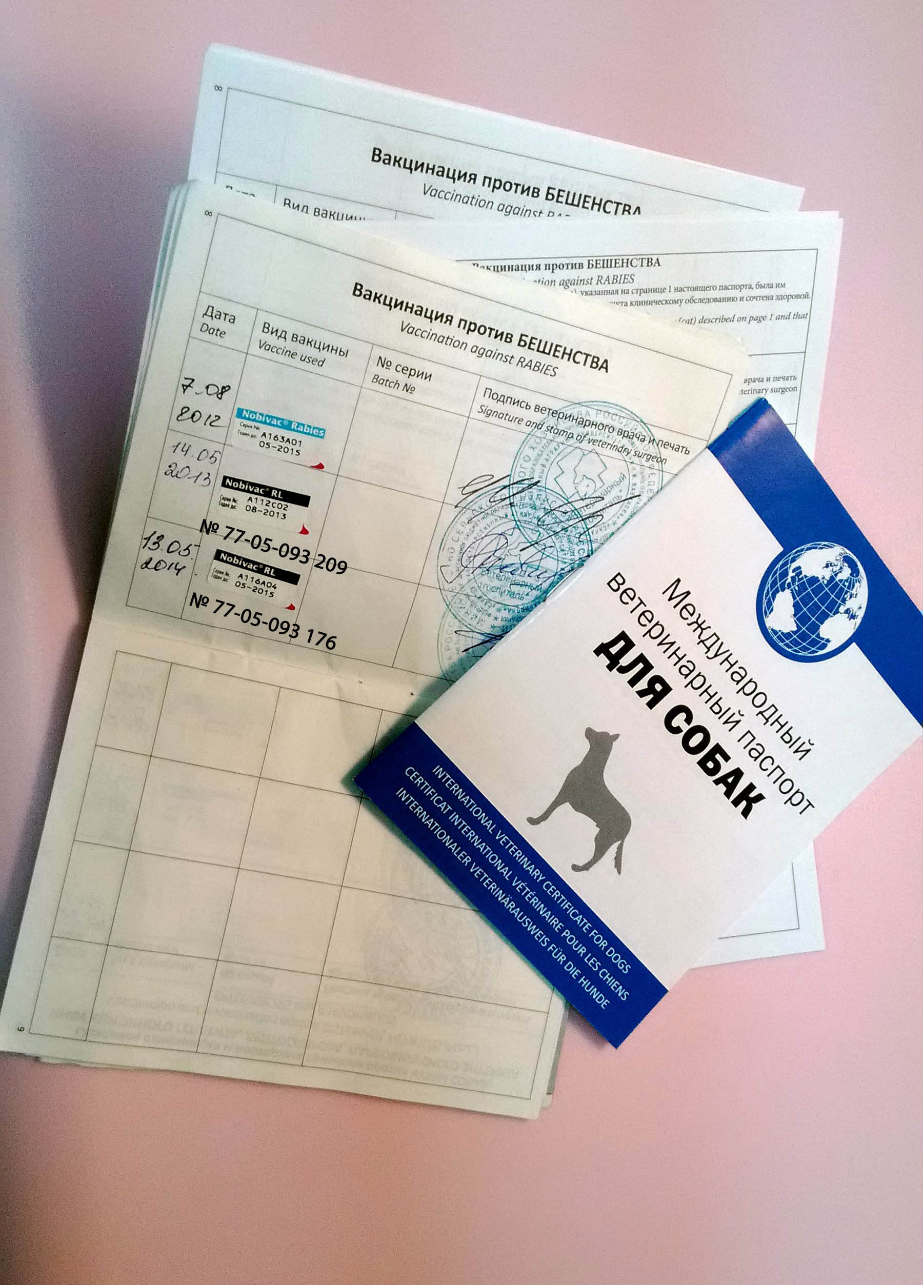 Международный ветеринарный паспорт оформить в Ветсервис +