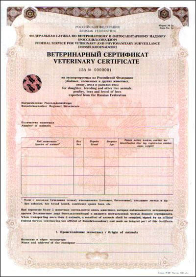 Ветеринарный сертификат форма 5А оформить в Ветсервис +